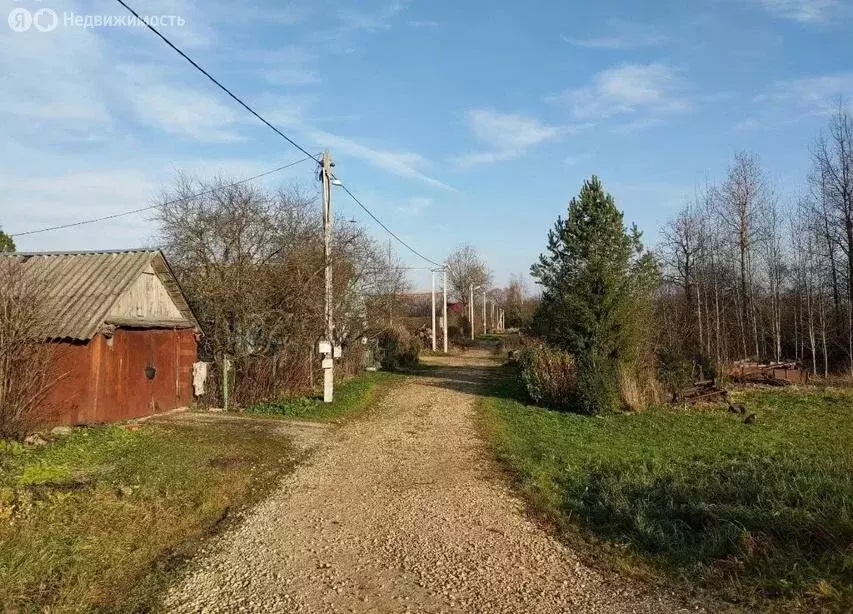 Участок в Волосовский район, Большеврудское сельское поселение, ... - Фото 2