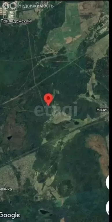 Участок в Мгинское городское поселение, садовые участки (700 м) - Фото 1