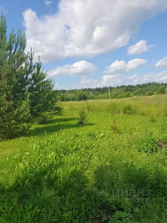 Участок в Вологодская область, д. Пищалино  (11.72 сот.) - Фото 0