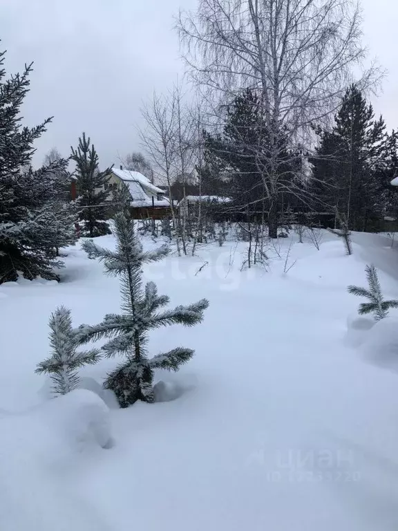 Участок в Свердловская область, Сысертский городской округ, пос. ... - Фото 1