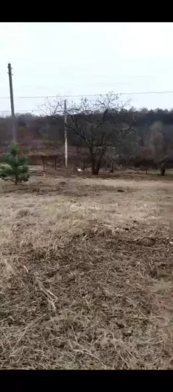 Участок в Орловская область, Орловский район, Нива СНТ 23-я линия ... - Фото 2