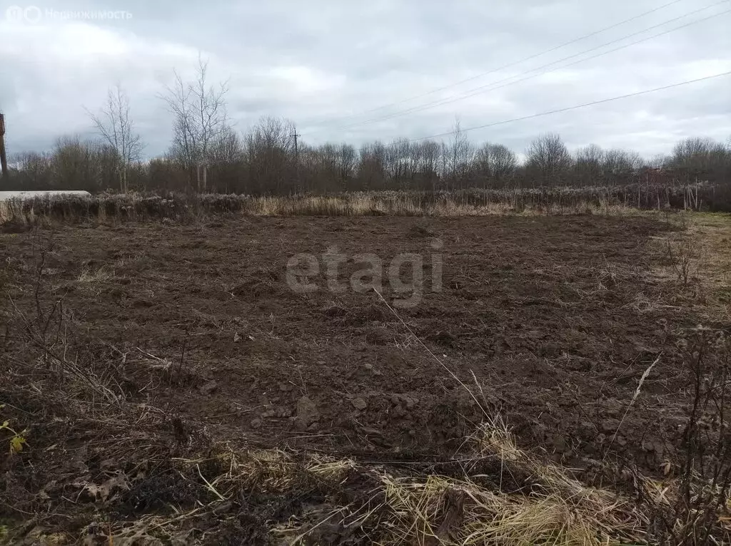 Дом в Григорьевское, Луговая улица (250 м) - Фото 2