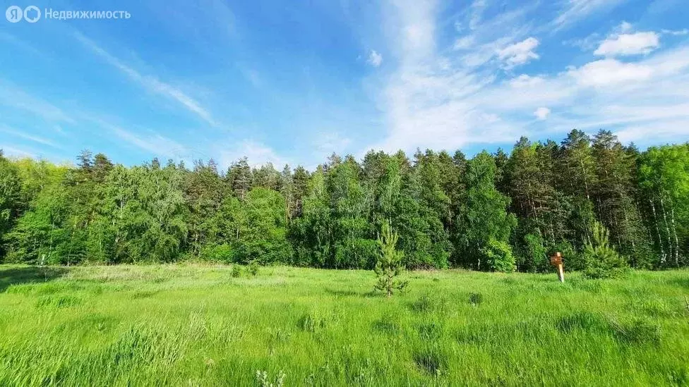 Участок в Тюменский муниципальный округ, село Перевалово (15 м) - Фото 1