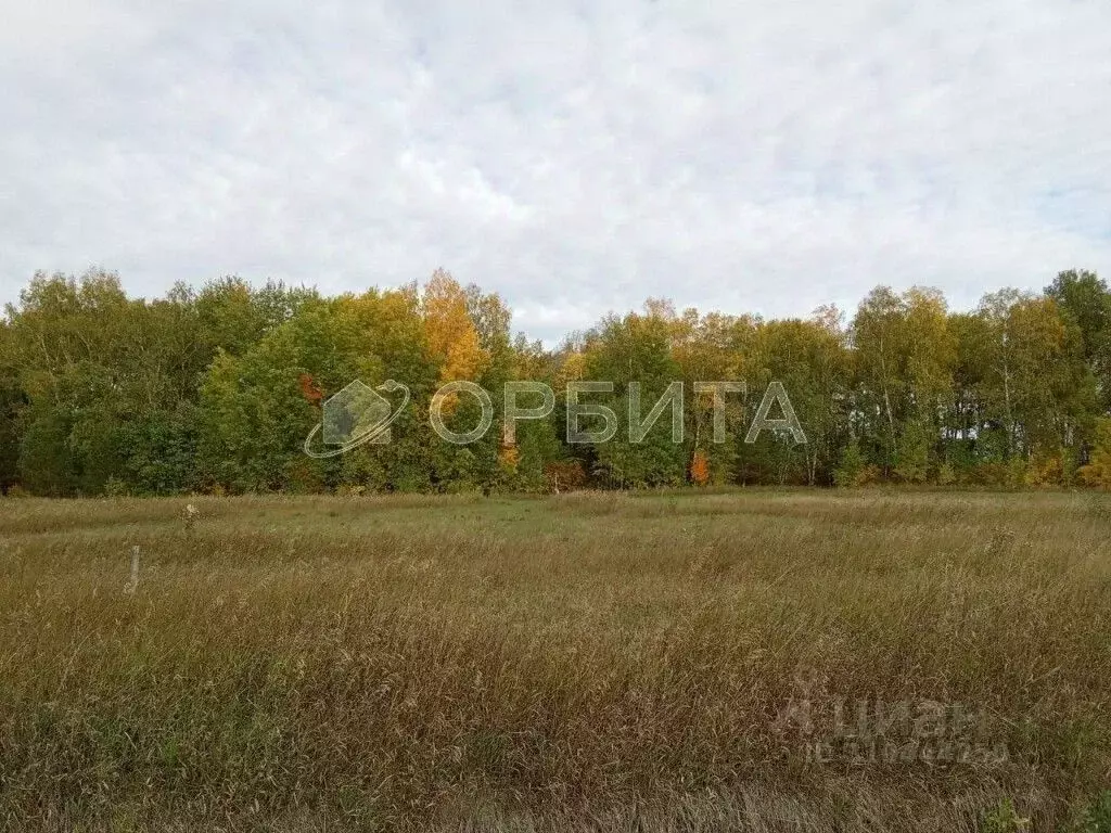 Участок в Тюменская область, Тюменский район, с. Каменка  (19.0 сот.) - Фото 0