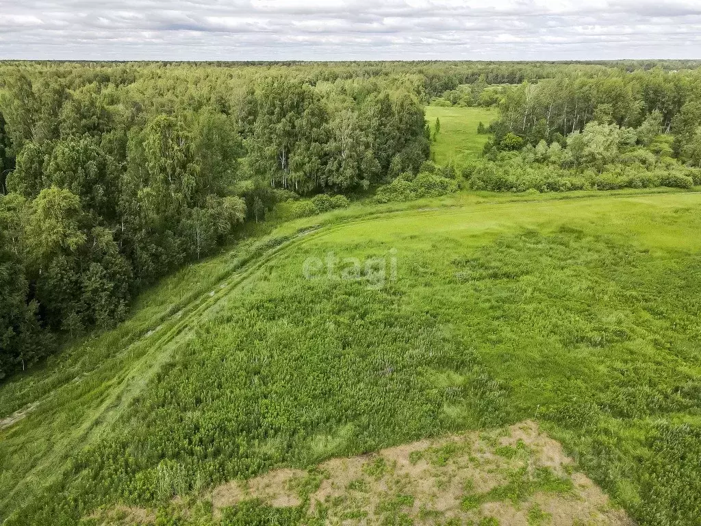 Участок в Тюменская область, Тюменский район, д. Решетникова  (7.94 ... - Фото 0