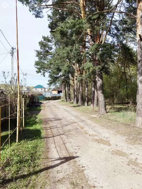 Дом в деревня Нижняя Лужна, СТ Электрификатор, 50 (93 м) - Фото 1