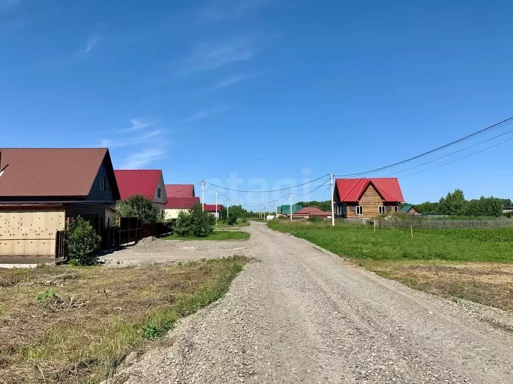 Участок в Алтайский край, Зональный район, пос. Мирный ул. Михина, 13 ... - Фото 1