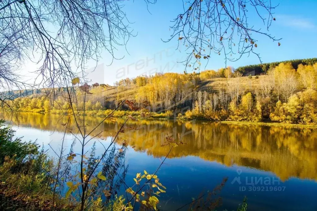 2-к кв. Новосибирская область, Новосибирск Весенний мкр, ул. Заречная, ... - Фото 1