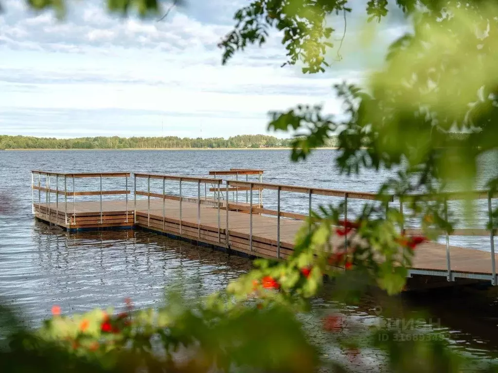 Участок в Ленинградская область, Приозерский район, Громовское с/пос, ... - Фото 2