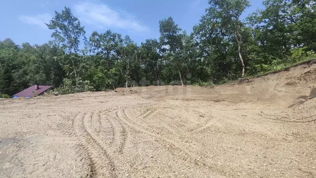 Участок в Амурская область, Благовещенский район, с. Чигири  (10.0 ... - Фото 2