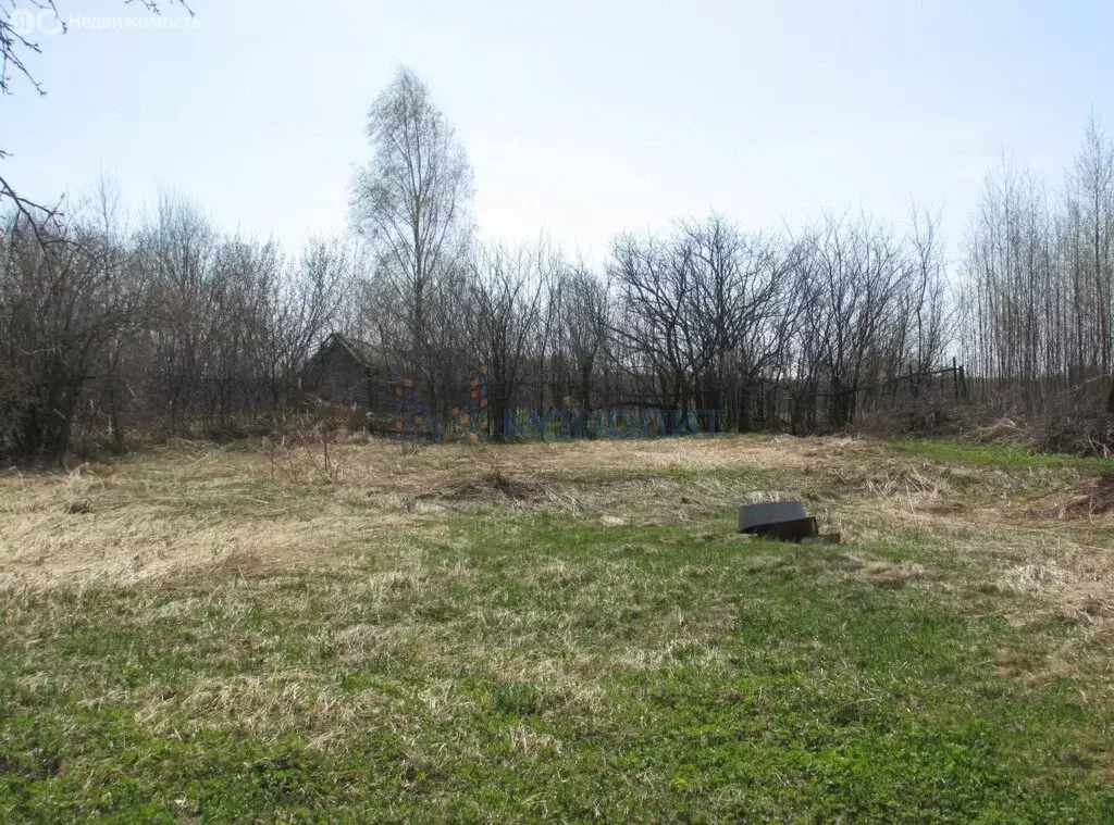Участок в Нижегородская область, Богородский муниципальный округ, ... - Фото 2