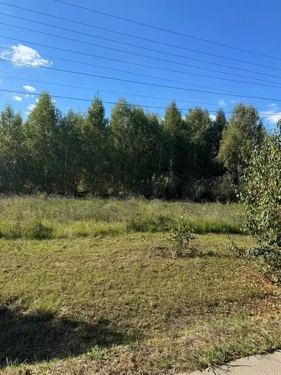 Участок в Омская область, Омск  (8.0 сот.) - Фото 0