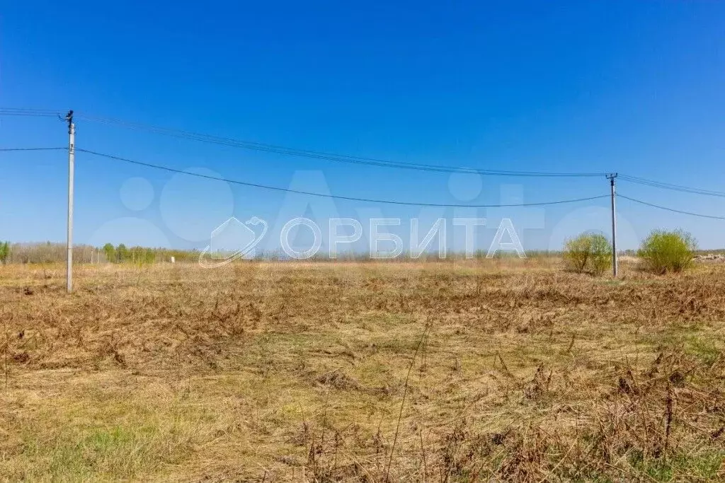 Участок 6,3 сот. (СНТ, ДНП) - Фото 0