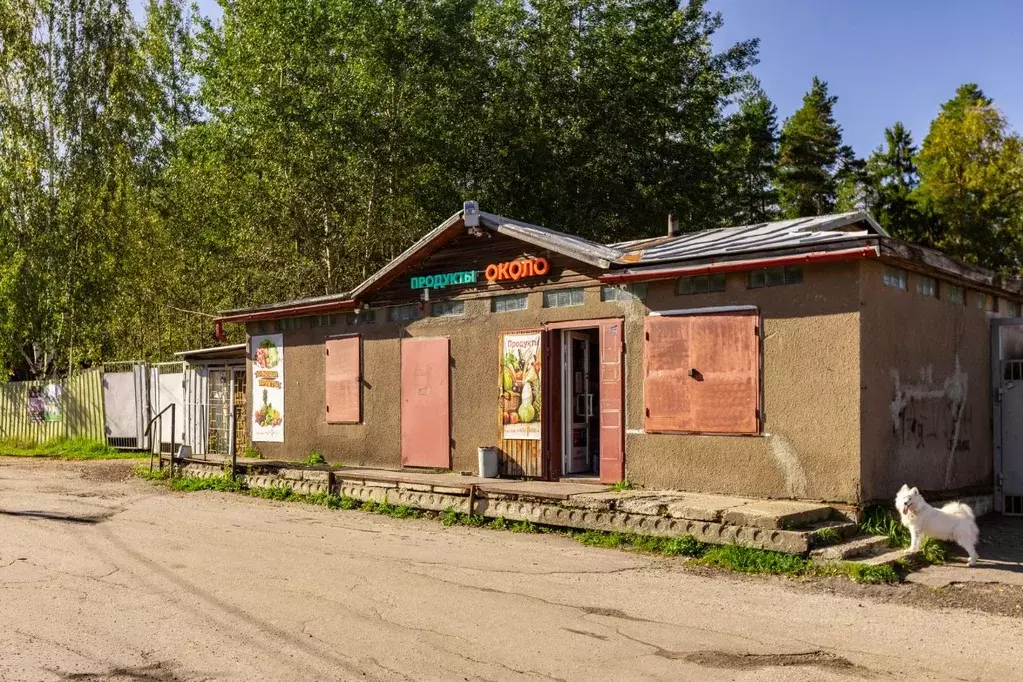 Участок в Ленинградская область, Ломоносовский район, Лебяженское ... - Фото 2