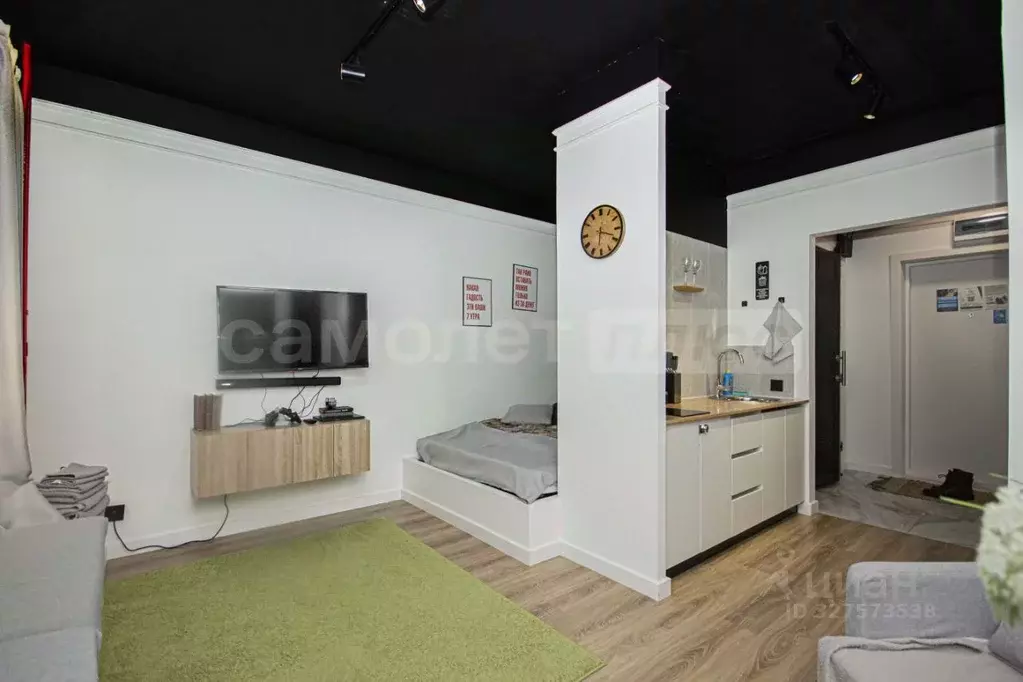 Студия Московская область, Одинцово ул. Березовая, 1 (24.0 м) - Фото 1