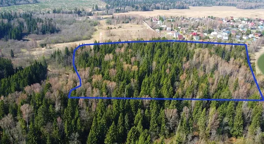 Участок в Московская область, Одинцовский городской округ, Рига лес кп ... - Фото 1