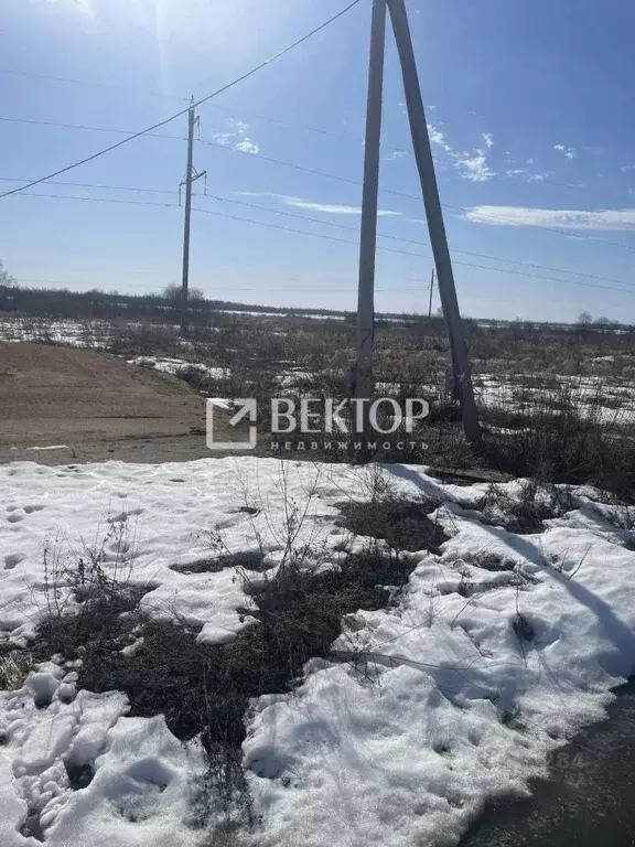 Участок в Ярославская область, Ростовский муниципальный округ, д. ... - Фото 2