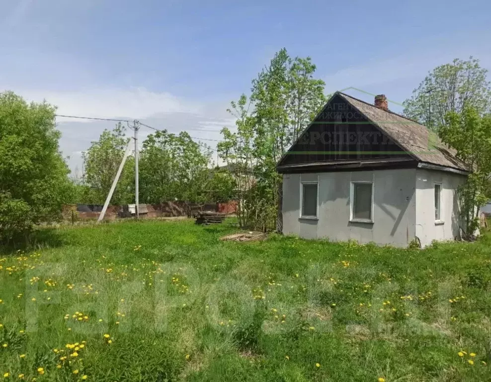 Дом в Приморский край, Артем Мурманская ул., 56 (37 м) - Фото 1