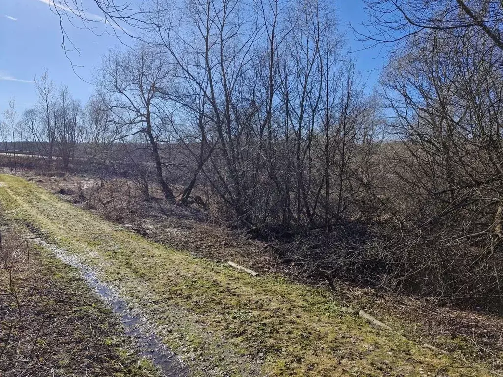 Участок в Московская область, Ступино городской округ, д. Щербинино  ... - Фото 0