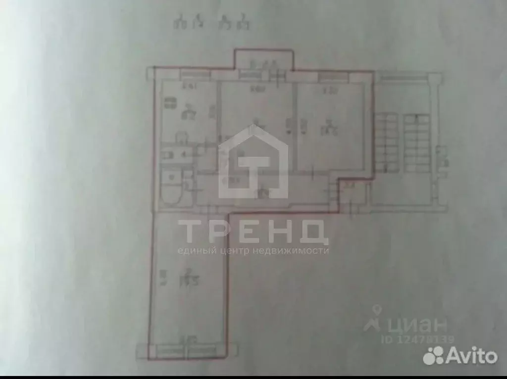 3-к кв. Санкт-Петербург Новочеркасский просп., 61 (74.3 м) - Фото 2