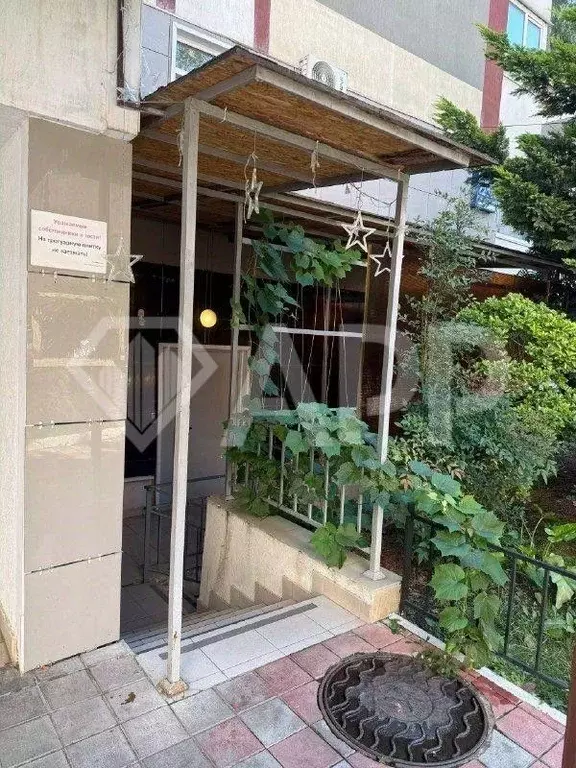 Помещение свободного назначения в Краснодарский край, Сочи Виноградная ... - Фото 1