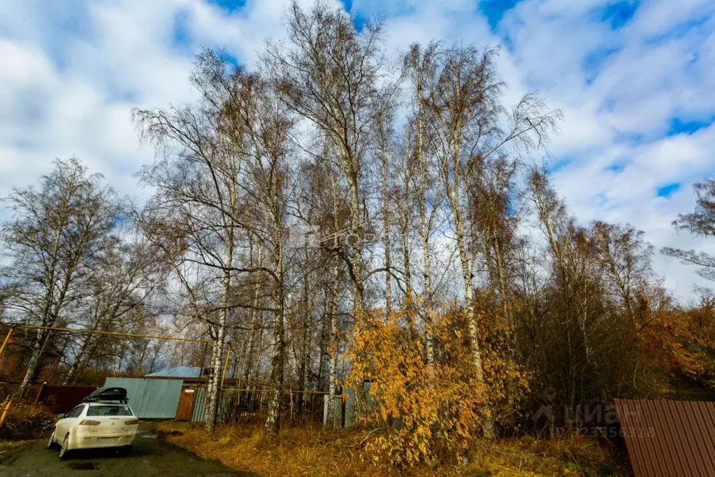 Участок в Новосибирская область, Новосибирский район, Мичуринский ... - Фото 2