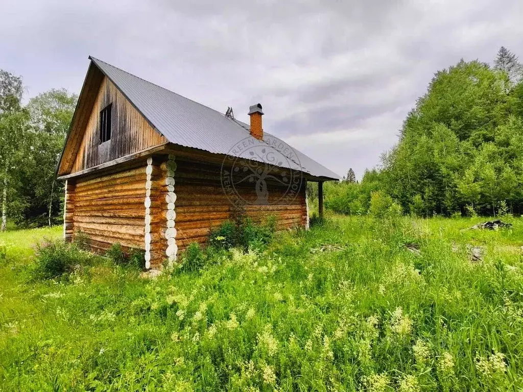 Участок в Свердловская область, Шаля пгт  (100.0 сот.) - Фото 0