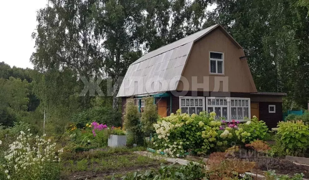 Дом в Новосибирская область, Мошково рп  (60 м) - Фото 0