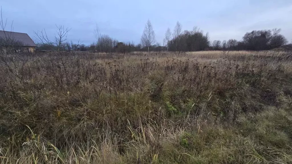 Участок в Московская область, Ступино городской округ, д. ... - Фото 2