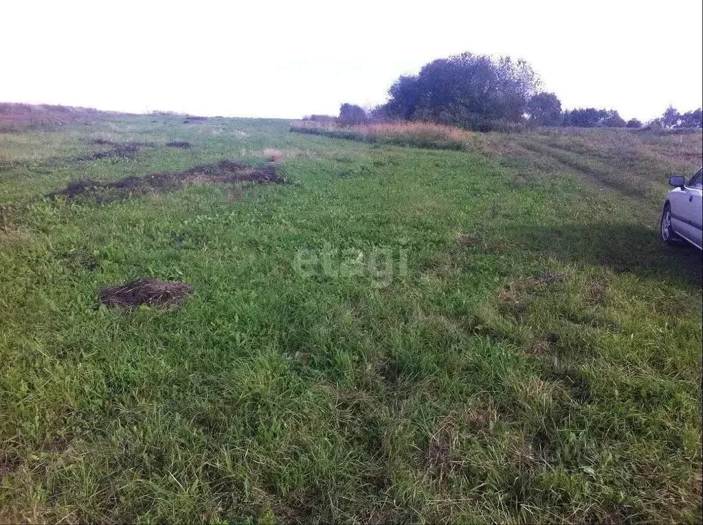 Участок в Калужская область, Малоярославецкий муниципальный округ, с. ... - Фото 1