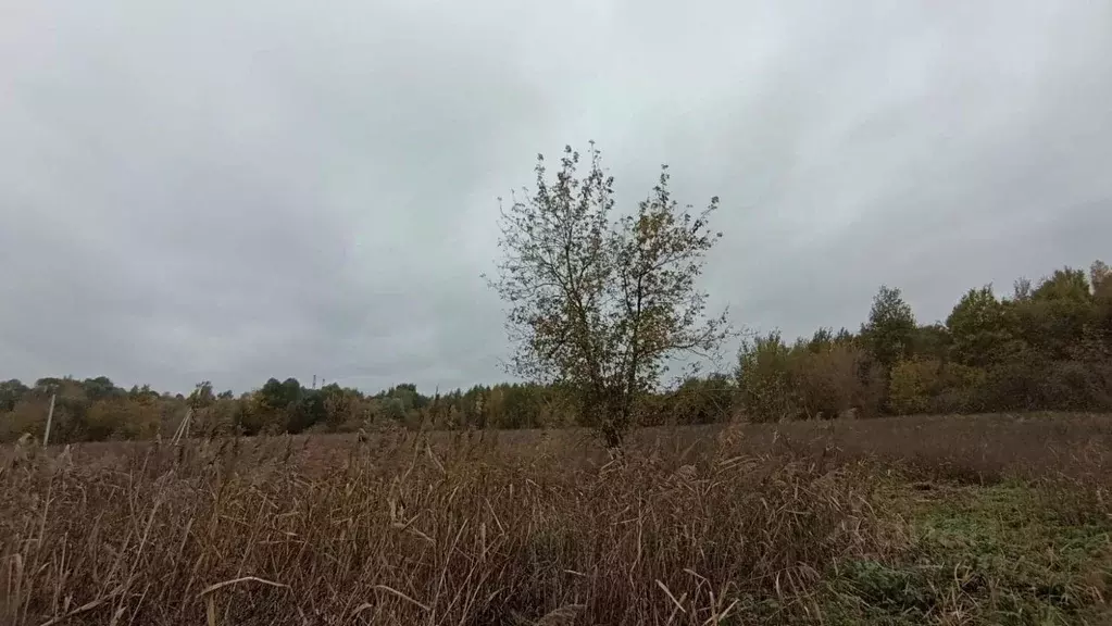 Участок в Московская область, Шатура  (30.0 сот.) - Фото 0