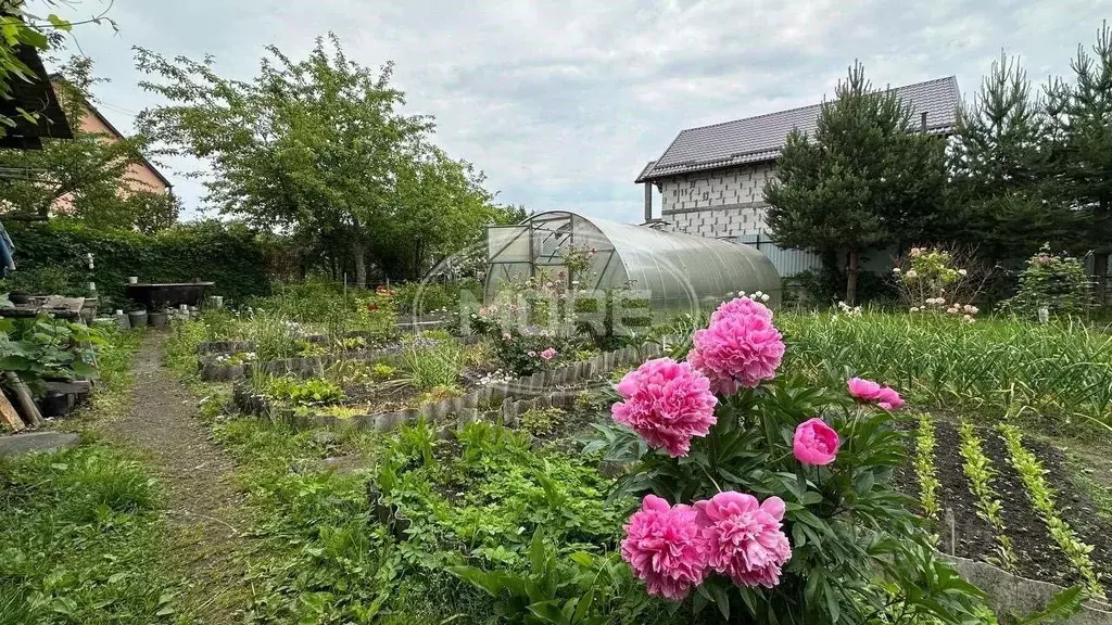 Участок в Калининградская область, Калининград Радуга СНТ, ул. 3-я ... - Фото 0