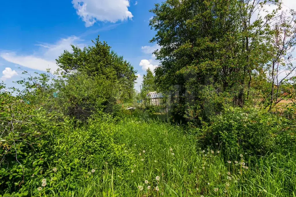 Участок 11,7 сот. (СНТ, ДНП) - Фото 0