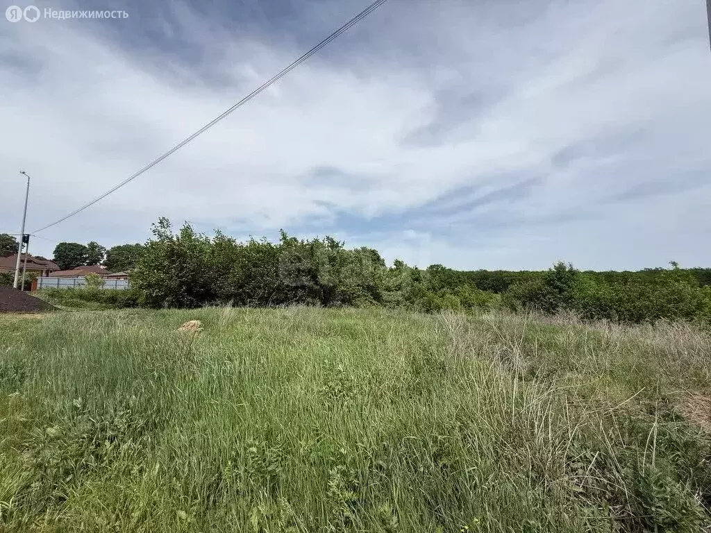 Участок в посёлок Дубовое, переулок Венгеровского (10 м) - Фото 2