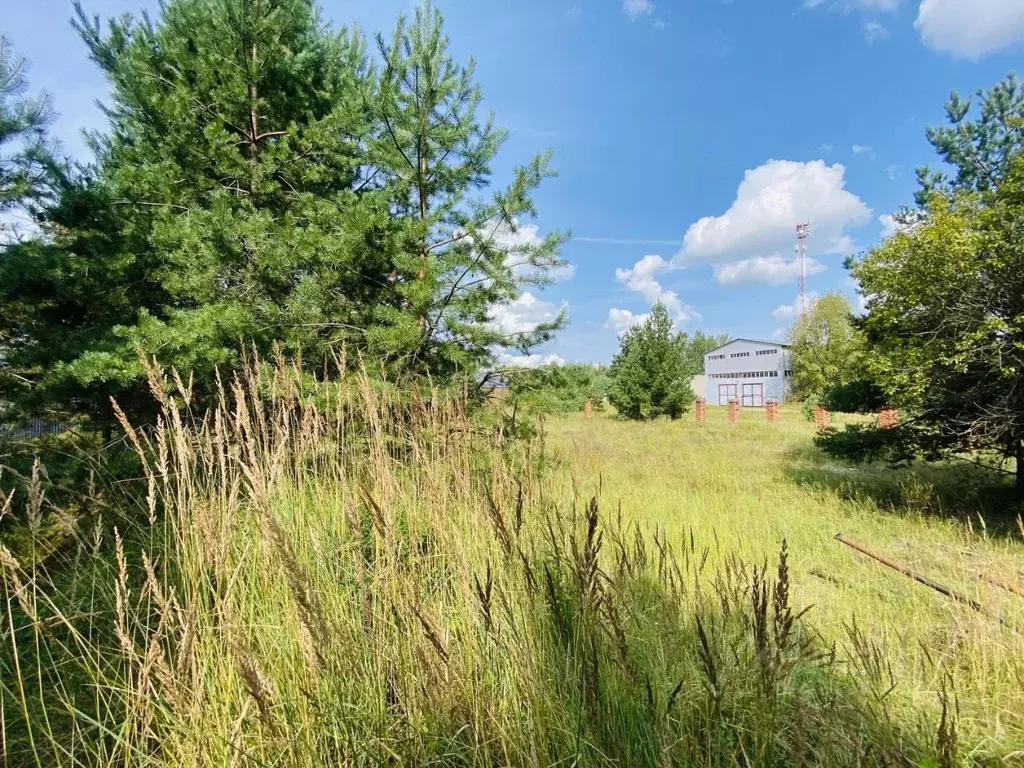 Участок в Ярославская область, Переславль-Залесский муниципальный ... - Фото 2