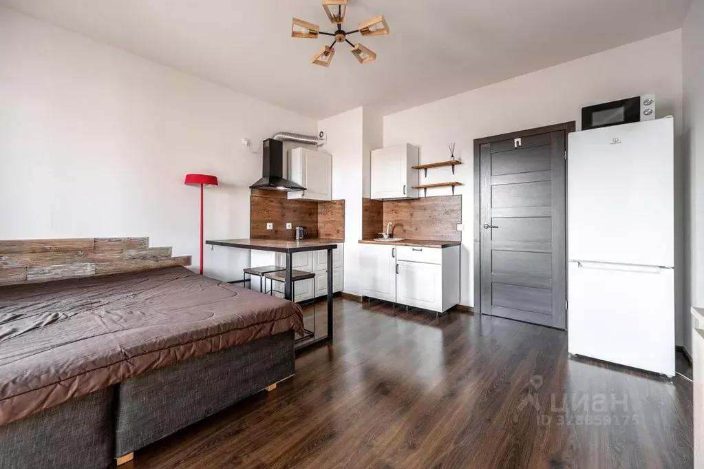 Студия Санкт-Петербург Кузнецовская ул., 58к1 (24.3 м) - Фото 1