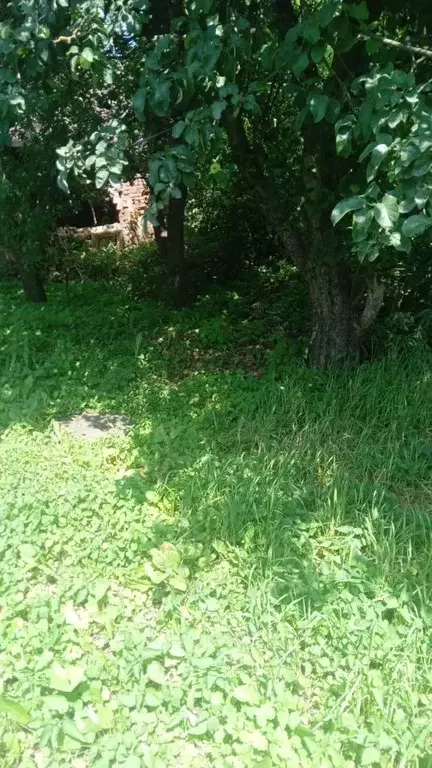 Участок в Тульская область, Тула Староникитская ул., 53 (4.8 сот.) - Фото 1