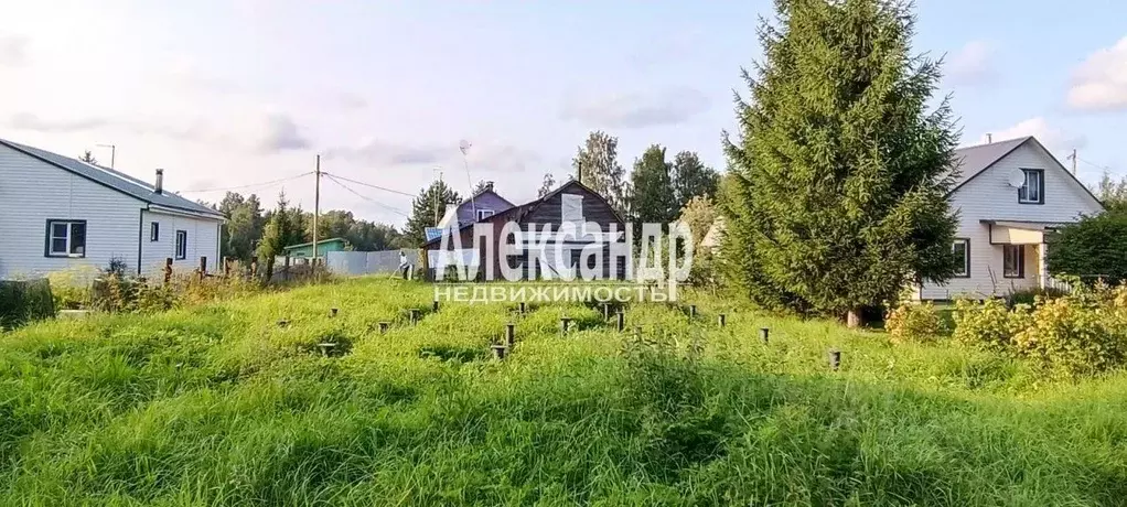 Дом в Карелия, Олонецкий район, Коверское с/пос, Дружба садоводческое ... - Фото 1