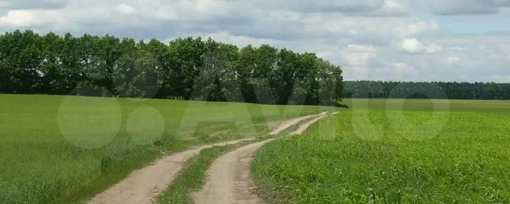 Участок 8,06 га (СНТ, ДНП) - Фото 0