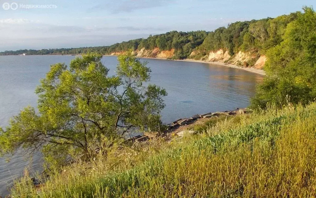 Участок в Спасск-Дальний, улица Борисова (100 м) - Фото 1