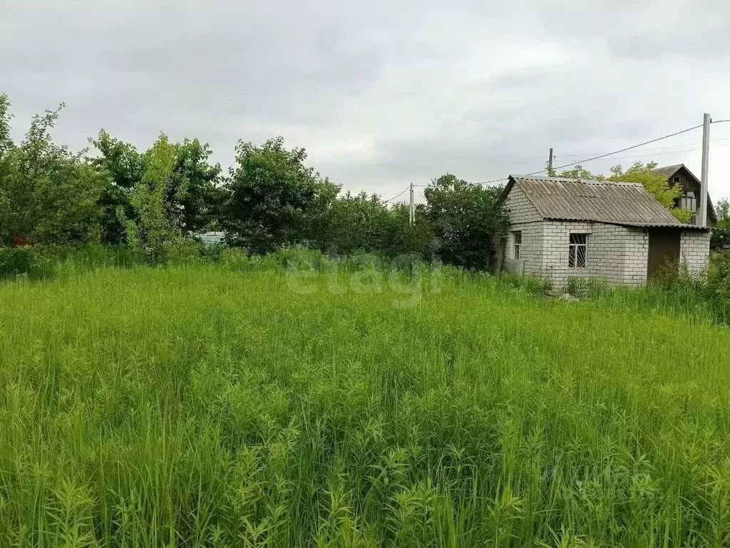 Дом в Брянская область, Брянский район, Новодарковичское с/пос, пос. ... - Фото 2