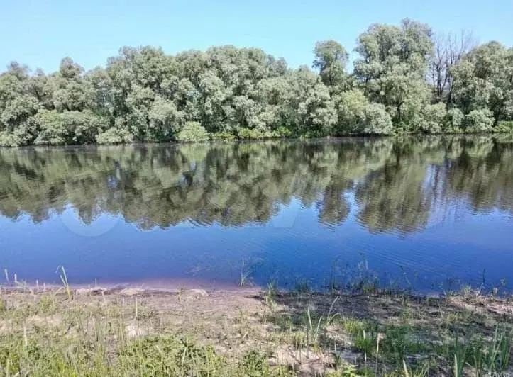 Участок 9 сот. (СНТ, ДНП) - Фото 0