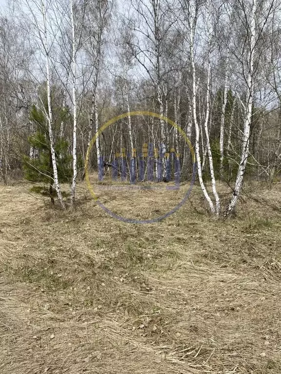 Участок в Челябинская область, Красноармейский муниципальный округ, ... - Фото 1