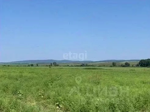 Участок в Краснодарский край, Новороссийск городской округ, ... - Фото 1