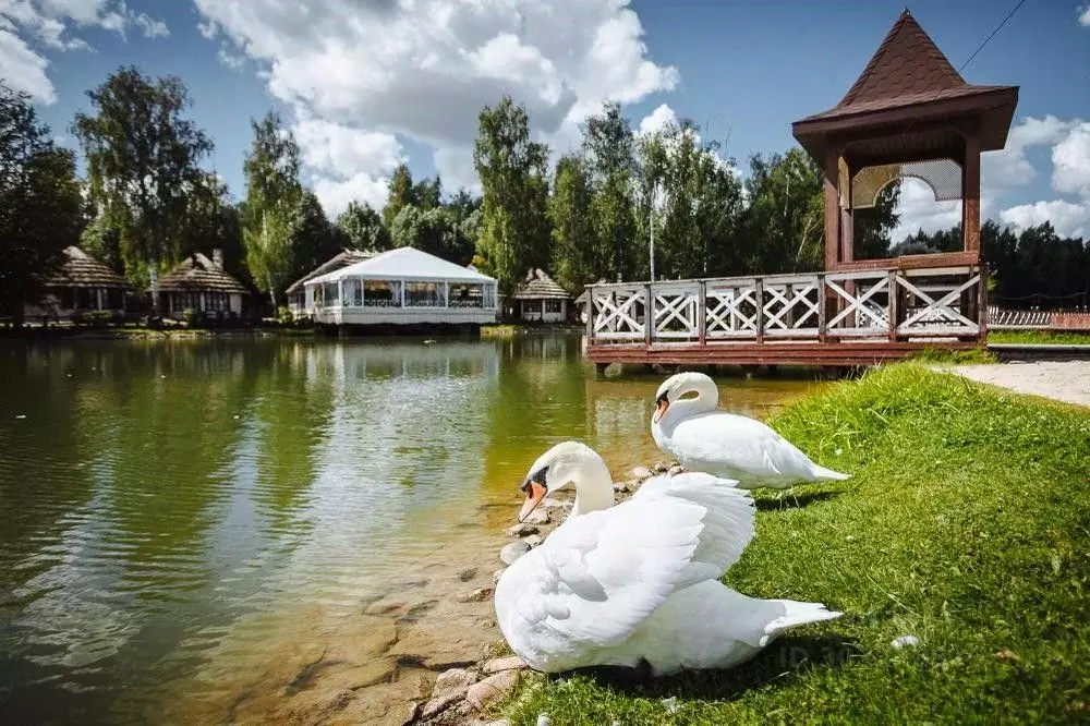 Участок в Московская область, Истра городской округ, Княжье озеро кп  ... - Фото 0