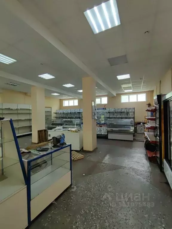 Помещение свободного назначения в Брянская область, Брянский район, ... - Фото 1