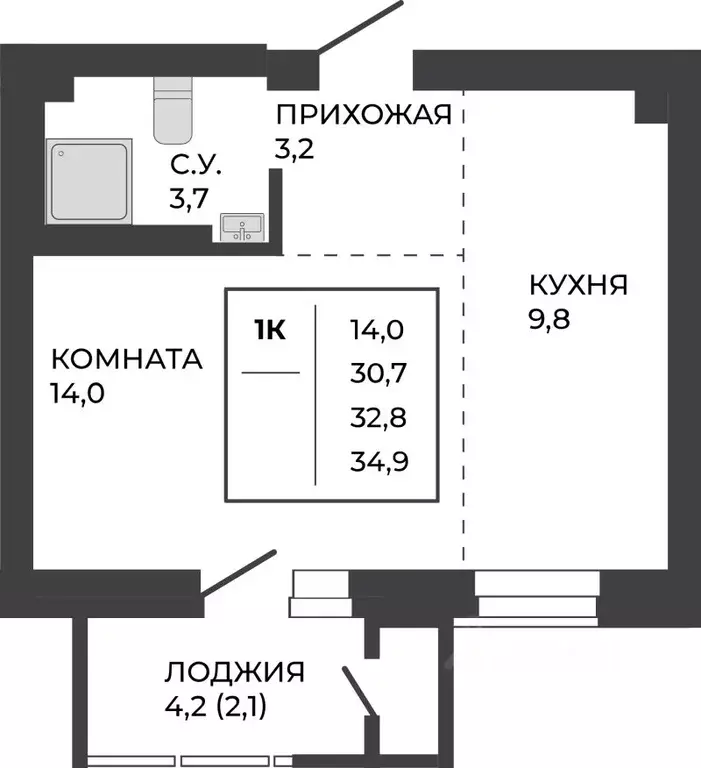 1-к кв. Алтайский край, Барнаул тракт Павловский, 251Б (32.8 м) - Фото 1