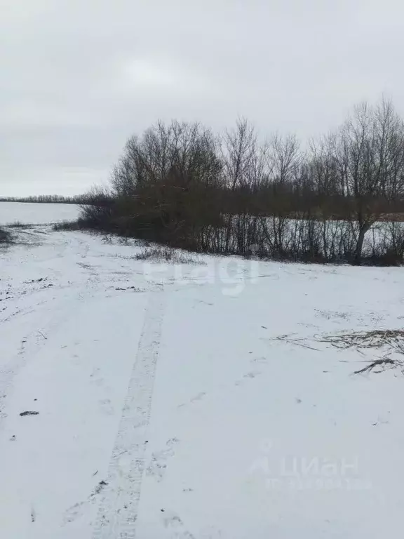 Участок в Белгородская область, Губкинский городской округ, с. ... - Фото 0