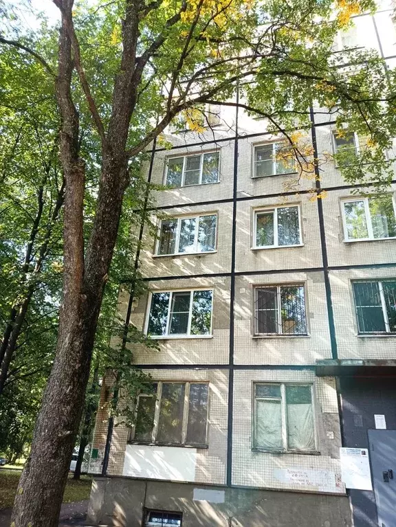 Комната Санкт-Петербург ул. Карпинского, 22 (17.0 м) - Фото 1