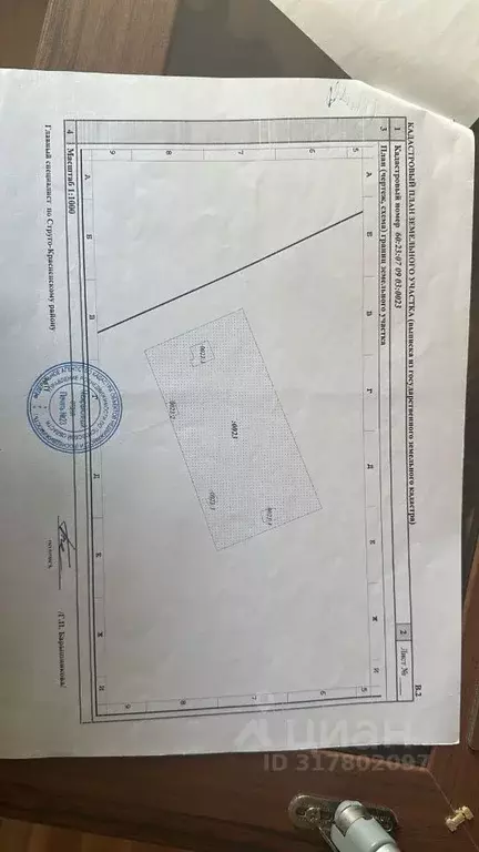 Участок в Псковская область, Стругокрасненский район, д. Хредино ... - Фото 1